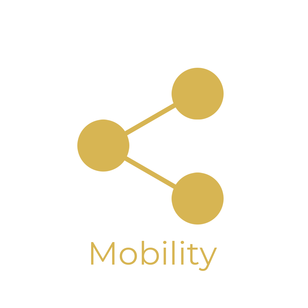 Mobility gold v2